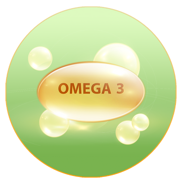 Omega 3 Fish Oil