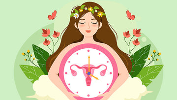 🌿 Ovulation and Hormonal Health: Why It Matters More Than You Think