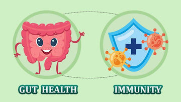 Gut Health and Immunity: Why Your Wellness Begins in the Gut