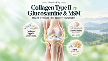 Collagen Type 2 Supplement Benefits vs Glucosamine and MSM