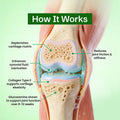 Diagram of a knee joint with labeled benefits of glucosamine on cartilage and synovial fluid.